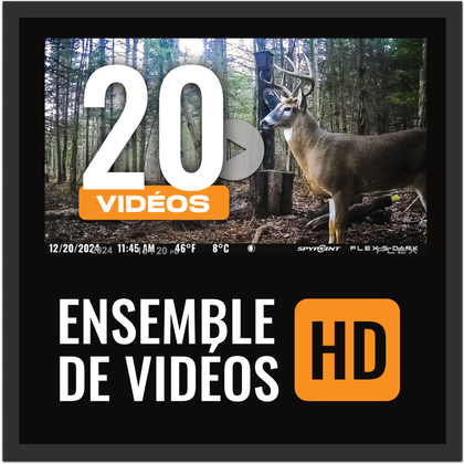Vidéo Full-HD sur demande